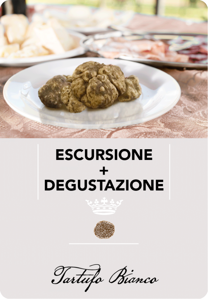 truffletrek santarcangelo - escursioni caccia al tartufo con degustazione - imamgine escursione con degustazione