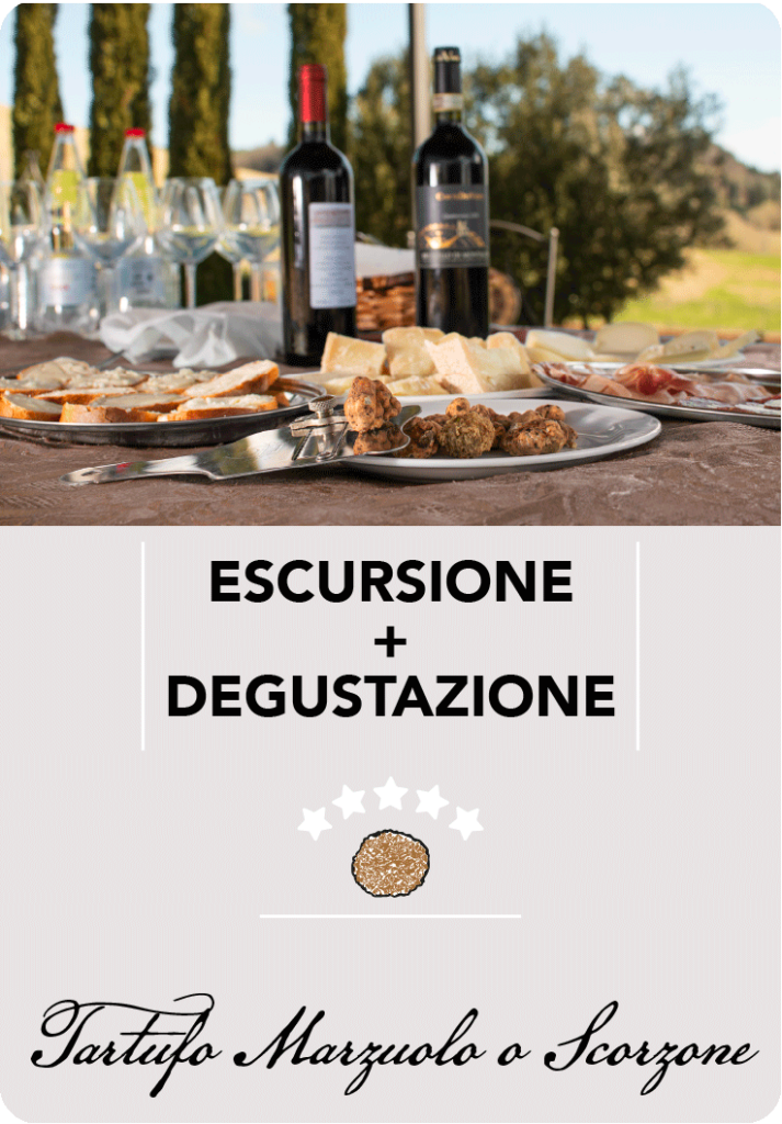 truffletrek santarcangelo - escursioni caccia al tartufo con degustazione - imamgine escursione con degustazione