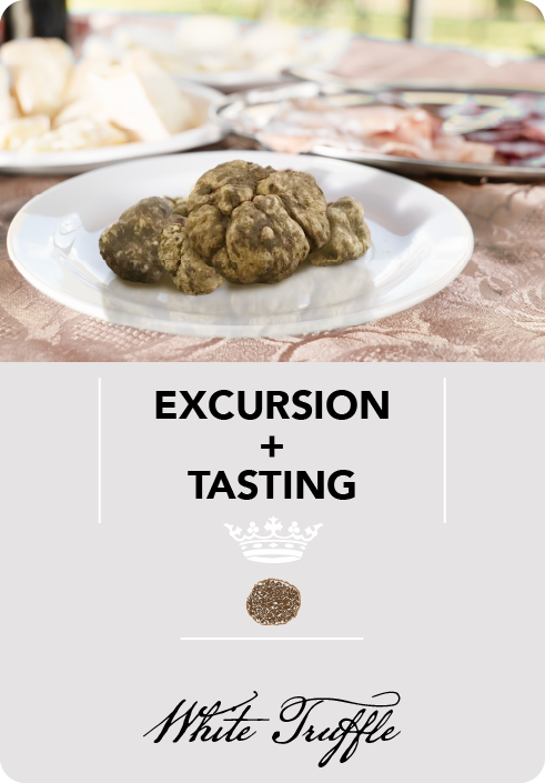 TruffleTrek Santarcangelo - Truffle Hunting Excursions with Tasting - Excursion with Tasting Image